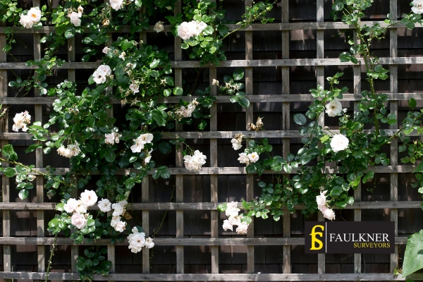 Can I put trellis on my Neighbours garage wall? 2 Do you want to adapt your neighbours garage door and add a trellis Amersham? Talk to Faulkner Surveyor Amersham